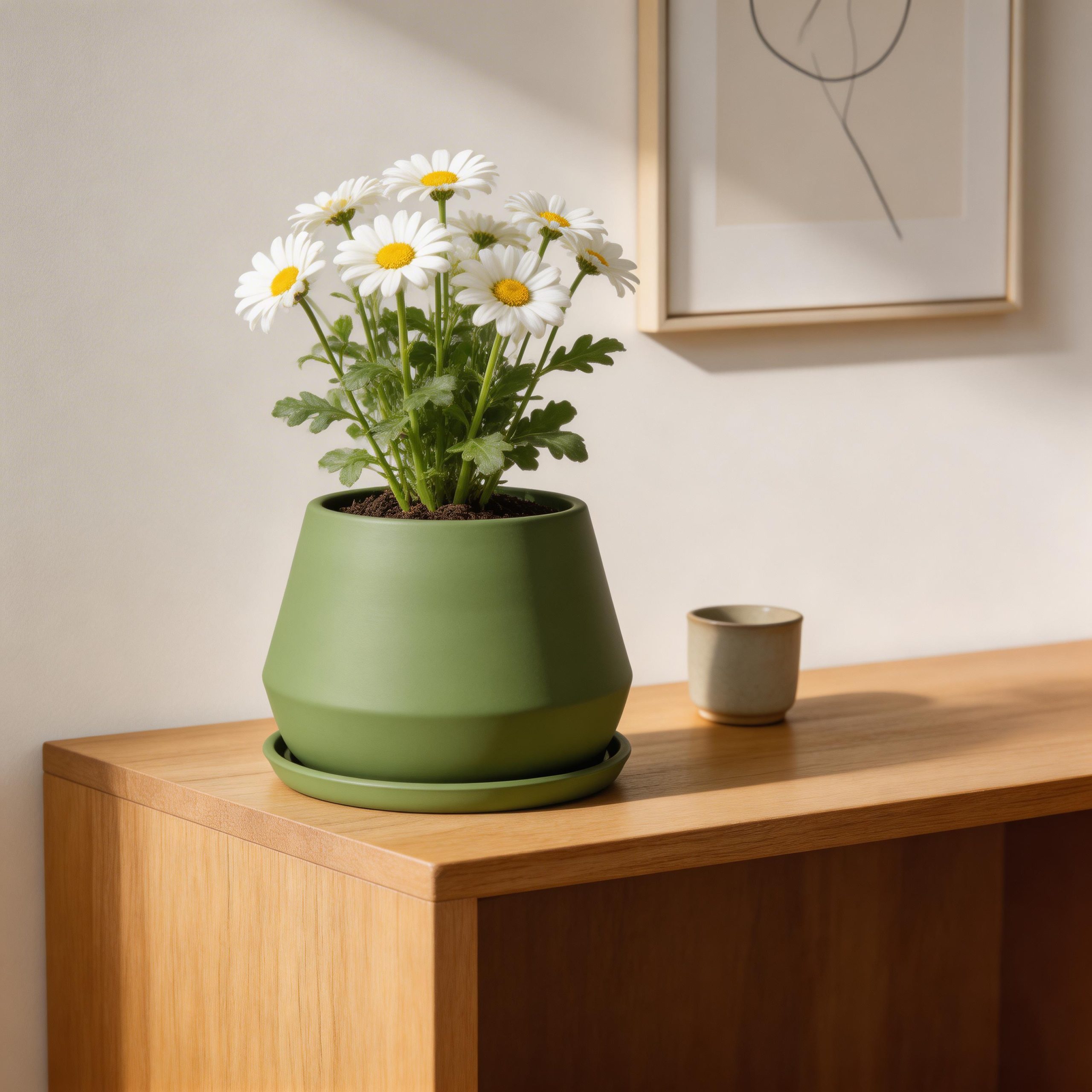 TESSA Ghiveci - imagine 3